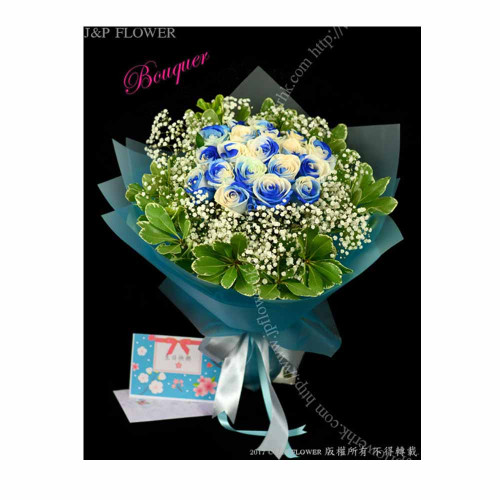 花束-18枝荷蘭(藍白)玫瑰花束-BO182