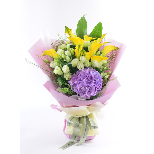 荷蘭馬蹄蘭10枝+荷蘭繡球+桔梗+BB草-BO418