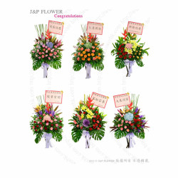 Flower basket, opening flower basket: 6 flower styles (minimum order of 4 pieces) CN225-JP Flower Shop