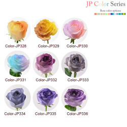 Rose - (18 's) Rose - (18 's)