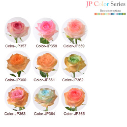 Rose - (18 's) Rose - (18 's)