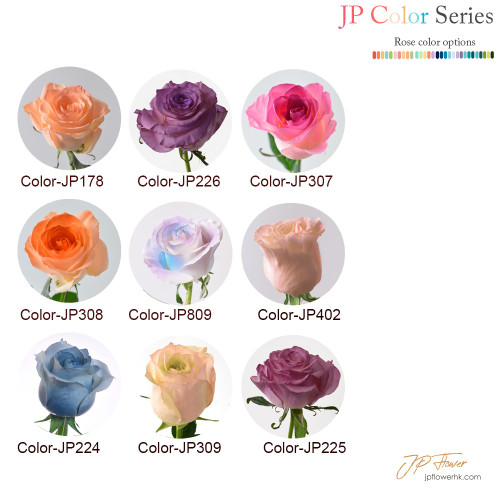 Rose - (18 's) Rose - (18 's)
