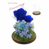 Preserve Flowers