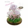 Preserve Flowers