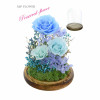 Preserve Flowers