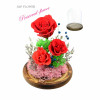 Preserve Flowers