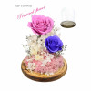 Preserve Flowers