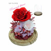 Preserve Flowers