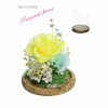 Preserve Flowers