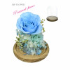 Preserve Flowers