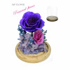 Preserve Flowers