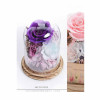 Preserve Flowers
