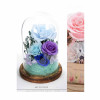 Preserve Flowers