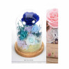 Preserve Flowers